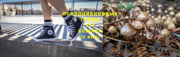 каннабис Аркадак