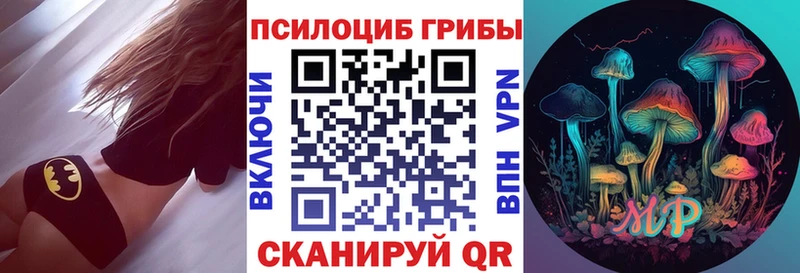 кракен рабочий сайт  купить наркотик  Сорочинск  Псилоцибиновые грибы Psilocybe 